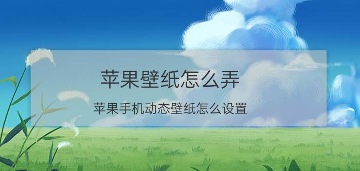 苹果壁纸怎么弄 苹果手机动态壁纸怎么设置？